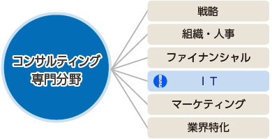 専門分野IT